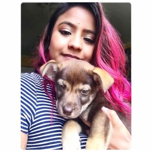 Meet your Posher, Sofia
